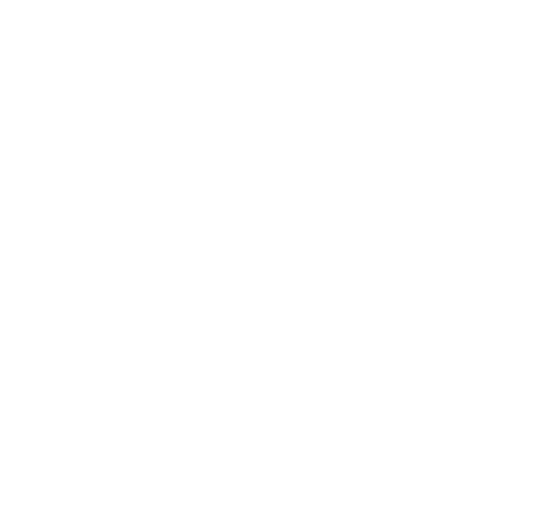Solid Navbar logo