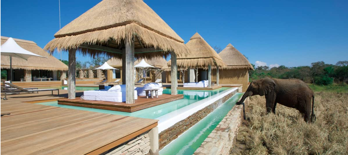 Kapama Karula Private Game Reserve