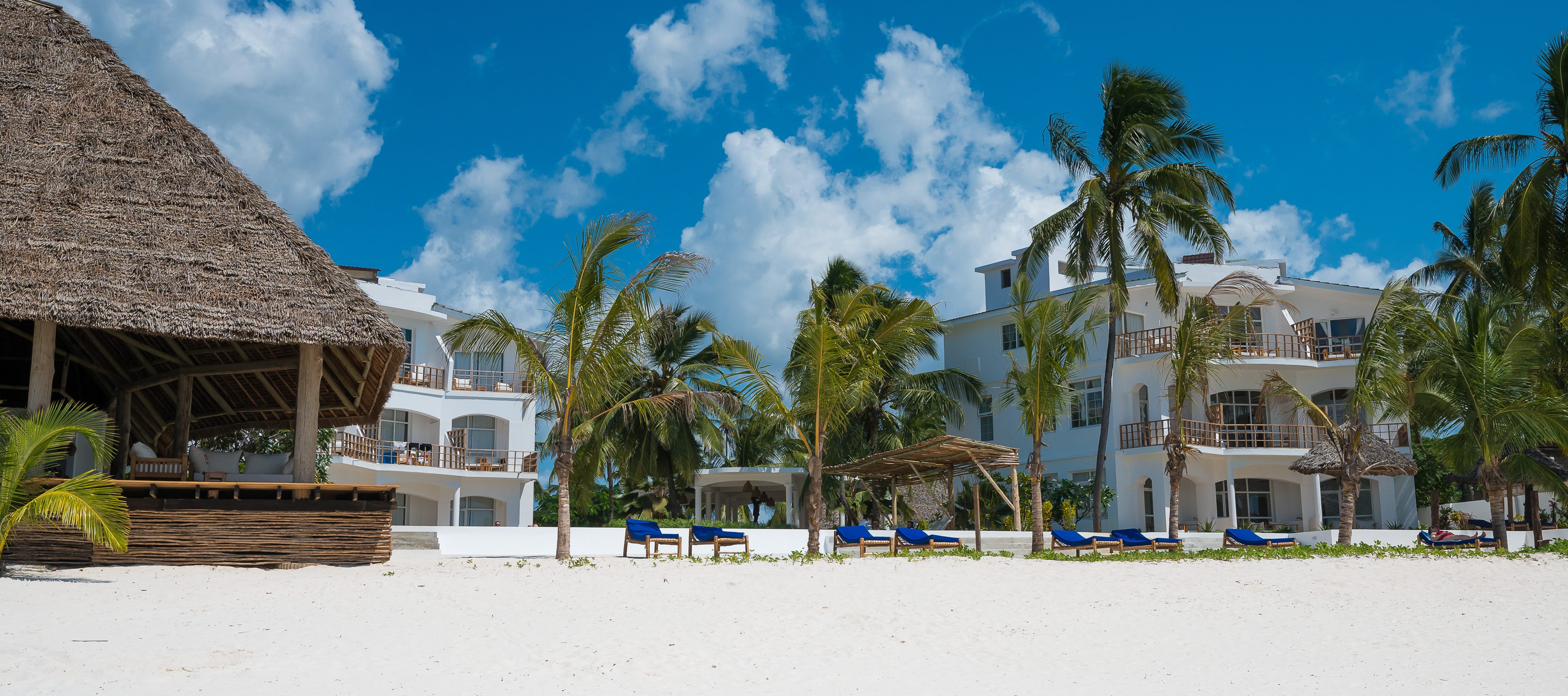 Ocean Boutique Hotel exterior featuring white modern buildings, palm trees, and beachfront loungers