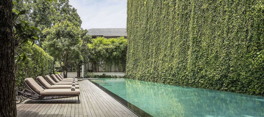 Modern pool deck at 137 Pillars House with wooden loungers beside a turquoise infinity pool, featuring a dramatic ivy-covered wall and mature trees under a cloudy sky