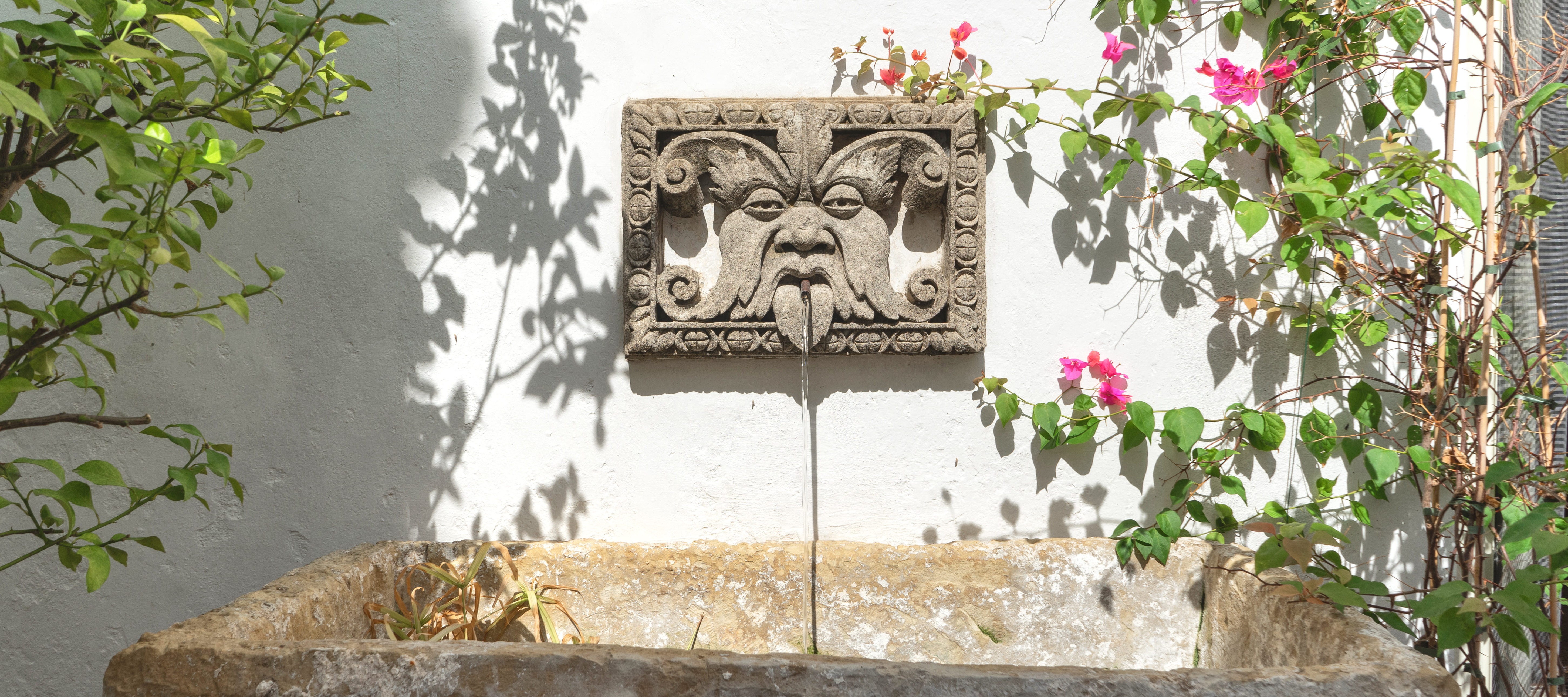 Stone fountain with carved face spout surrounded by bougainvillea