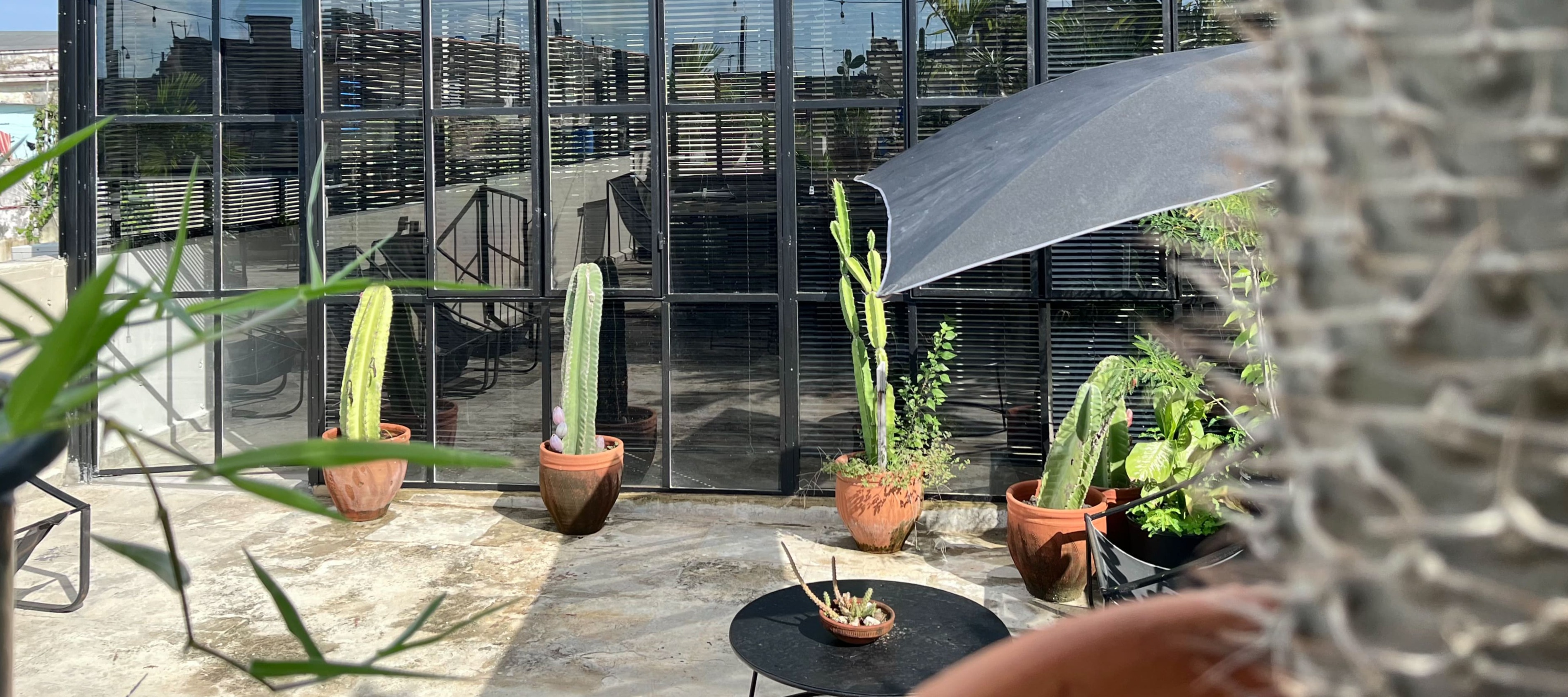 Modern rooftop terrace with glass walls, umbrella, and potted cacti