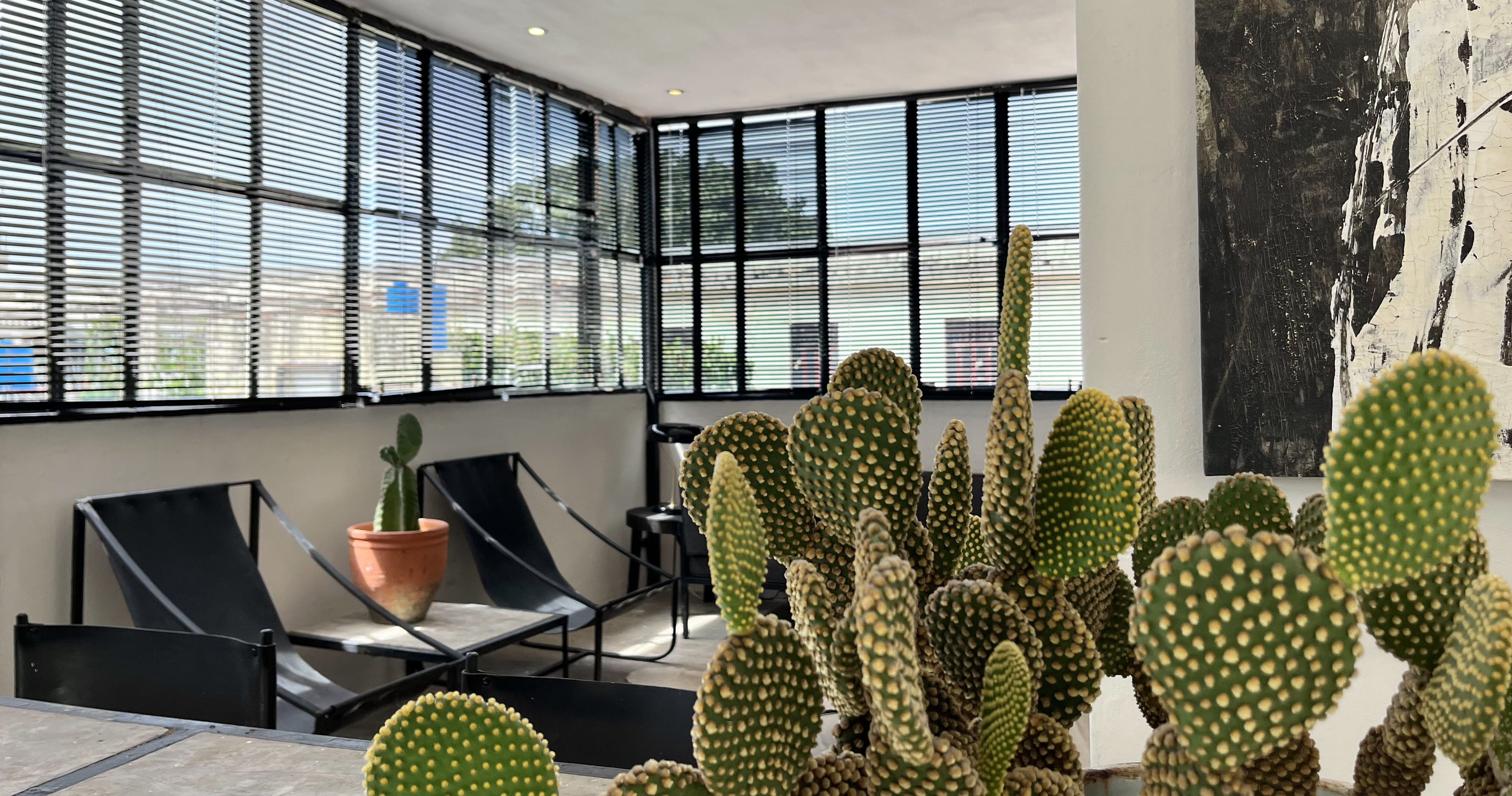 Bright lounge area with black chairs, large cacti, and wall artwork